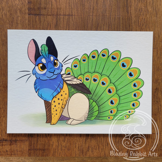 Postcard Peacock Skvader